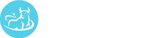The SMSF Investor
